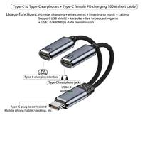 2 IN 1 USB C skirstytuvas į dvigubą Type-C ausinių lizdą garso adapteris PD 100W greitas įkroviklis Samsung iPhone 15/16 Huawei Xiaomi TY-100-GR
