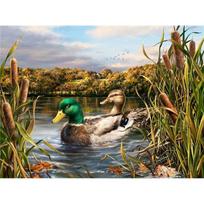Full Round Diamond Embroidery Animal 5D Rhinestone Mosaic Duck Diamond Painting Home Decor Full Round 20x30CM