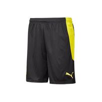 Puma Bvb Shorts Replica Men Shorts Black 757175-02 S