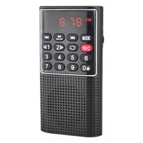 L-328 FM radijas Daugiafunkcis Įkraunamas Nešiojamas USB TF MP3 grotuvas Rankinis garsiakalbis Lauko reikmėms juoda