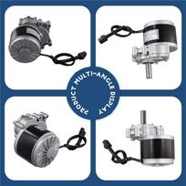 12V 250W Gear Reduction Electric Motor Gear For 25H Chain Gear Type Suitable For 25H Chain 24V
