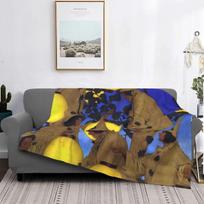 Maxfield The Lantern Bearers 1908 Blanket Art deco Plush All Season Multifunction Ultra-Soft Throw Blankets For Car Bedspread Size: 75*100cm, Weight: 230 GSM