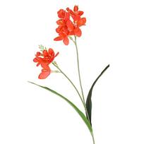 Real Touch Artificial Orchid Branches 2 Fork Fake Flowers  Home Living Room Decor oranžinė