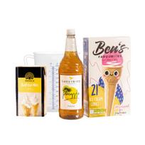 Minkštų ledų gaminimo rinkinys Pineapple