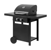 MASTER GRILL 2-Burner dujinė kepsninė MG669