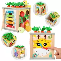 LEAN TOYS Wooden Educational Cube Sorter 5in1 Puzzle Box Blocks