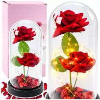 LEAN Eternal 2 Roses in Dome su LED apšvietimu ir rožių žiedlapiais Raudona 21x11cm