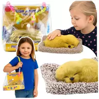 LEAN TOYS Miegantis labradoras ant pagalvės figūrėlė su kailiu permatomame krepšyje su garsais