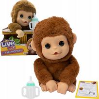 Interaktyvi beždžionėlė LITTLE LIVE PETS MANGO, čiulpianti nykštį