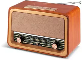 Luvianta Telforceone Forever Electro AM/FM radijas VINCENT JB-120 BT USB 1200mAh