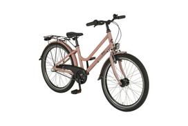 Dviratis Prophete 24", rudas