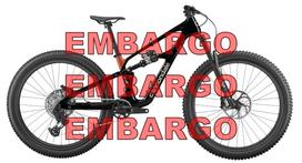 CANNONDALE BAD HABIT 1 (C2311GU10/RAW)