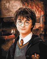 TAPYBA PAGAL SKAIČIUS RINK HARRY POTTER