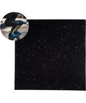 Tvirta grindų apsauginė danga inSPORTline Proteko II 50 x 50 x 1,5 cm - Black and grey