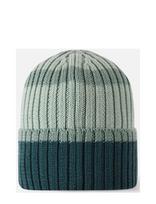 Reima - Beanie, Vilpas - Kepurė - Žalia