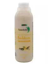 Mėmelio fermentuotas BACTOHOUSE vanilės skonio 1000 ml.