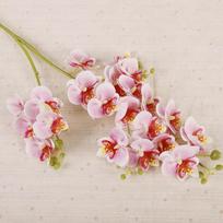 Real Touch Artificial Butterfly Orchid Flower 2 Fork Simulation Plant  Balcony Decor rožinė