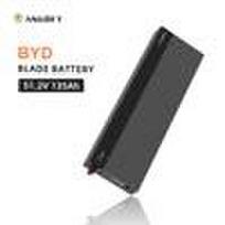 PL Stock Split BYD Blade Battery IP65 CAN Home Solar Energy Storage System for 51.2v 130ah 6.6kwh Lifepo4 Pack Wall Mount 6.6KWH 51.2V 7 kW