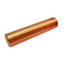 Copper Ionizer Purifier Filter For Most Pool Ionizer Models 160g