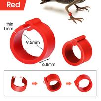 100PCS Mini 8mm Birds Foot Rings Pigeon Leg Bands Letterless Clips on Legs for Parrot Chicks Dove Bantam Quail Lovebirds Finch 8mm x100pcs raudona