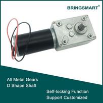 Bringsmart DC 24v Worm Geared Motor 1.6-70kg.cm High Torque D Shaft 12v 7-470rpm Motor Rotating Table Door Self-lock A58SW31ZY 12V
