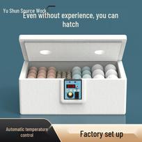 Smart Mini Auto Incubator for Quail Eggs: Home Hatching Machine for Chicks, Ducks, and Geese. 10 eggs USB, 5V
