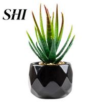 Artificial Plant Reusable Realistic PVC Fresh Keeping Grass Easy Care Succulents Bonsai for Home Decor 1