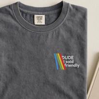 Comfort Colors® Embroidered Retro Raiders T-Shirt, ARC Shooter Tee, DUDE I Said Friendly shirt M