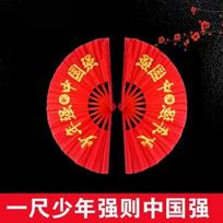Fengyi Youth Tai Chi Kung Fu Sound Fan Set