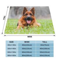 Cavalier King Charles Spaniel Dog Blankets Cute Animal Flannel Throw Blanket Airplane Travel Decoration Lightweight Bedspreads Size: 75*100cm, Weight: 230 GSM