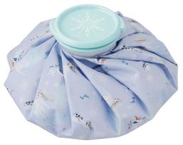 Skater Ice Pack M 21cm Disney Frozen 2 ICB2-A