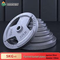 Painted Cast Iron Barbell Weight Plate