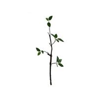 Fake Plants Stems Realistic Artificial Greenery Plant Stem Faux Bendable Branches with Leaves Short