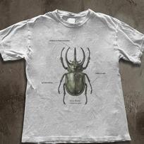 Green Stag Beetle Illustration T-Shirt | Entomology Art Tee S