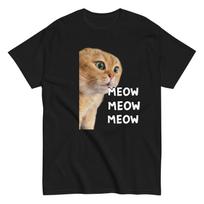 Talking meme Cat, Viral Video, Funny Cat M