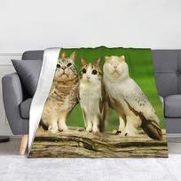 Meowl ir Draugai Katė Pelėda Antklodės Koralinis Vilnos Pliušas Pavasaris Ruduo Nešiojama Šilta Antklodė Lovai Biurui Lovos Patalynė Antklodės 75X95CM