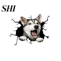 Car Sticker Funny Stickers Realistic Exquisite Pattern Simulation Pet Crack Design 3D Trim Effect Decorate Eye-catching Cute Window for Automobile C