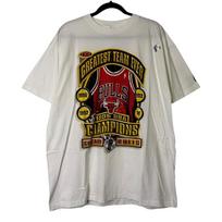 1996 Chicago Bulls T shirt Sz L (B1629) L