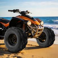MaxAuto  ATV Tires, Go-Kart Quad Tires, 6 PR Tubeless All Terrain UTV Tire, 2 Pack