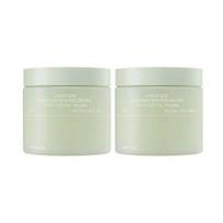 Celimax Heartleaf BHA Peeling Pad Exfoliating Pore Care 125ml × 2 Packs