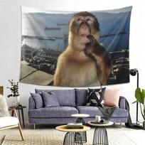 Meditating Monkey Tapestry Wall Hanging, Aesthetic Decor for Living Room Bedroom, Unique Gift 100X70CM