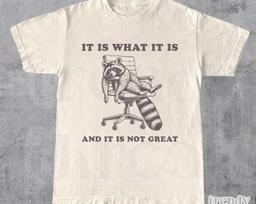 It Is What It Is And It Is Not Great Vintage - Meme Shirt, T Shirt, Funny, Raccoon, Meme, Cartoon Tee Shirt, Retro Tee, Fun Gift 4XL