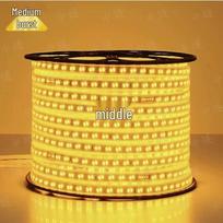 Zhongsui 100m Outdoor Waterproof LED Light Strip