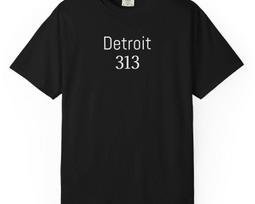 Detroit 313 area code city pride T-Shirt by Agree or Disagree S
