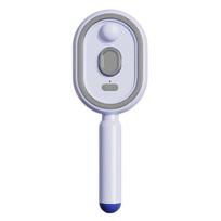 Multi functional massage comb Electric Steam Hair Brush USB-C Charging Spray Steam Smoothing Straightener Anti-Frizz Styling Com No Box Purple