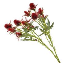 Real Touch Artificial Sea Holly Branch Handmade Fake Flowers  Wedding Party Decor raudona