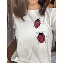 Ladybug Vintage Tee, Retro 90s Style Insect Shirt, Y2K Love Bug Graphic Top S gray