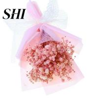 Bouquet 1 Gypsophila Romantic Natural Dried Flowers Flower Babysbreath Floral Decoration for Gifts šviesiai rausvos spalvos