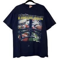 90's Notre Dame Fighting Irish Nutmeg NCAA T shirt Sz XL (B2149) 4XL