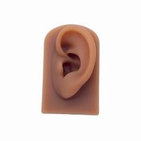 Gaby Hot Sale Silicon Mold Ear Display Model Stand Show Earring Piercing Jewelry Display Tool  Nose Piercing Display